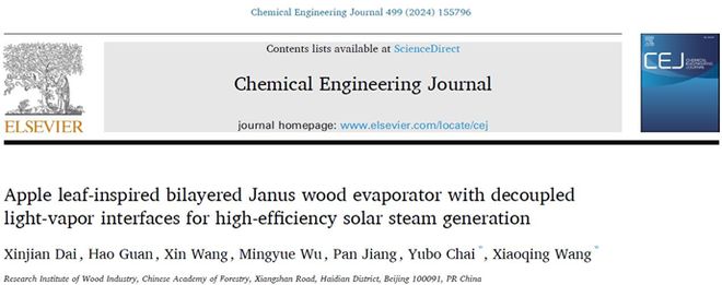 BOB半岛林科院木材所王小青团队CEJ：受苹果叶启发的双层Janus木基蒸发器用于高效光热界面蒸发(图1)